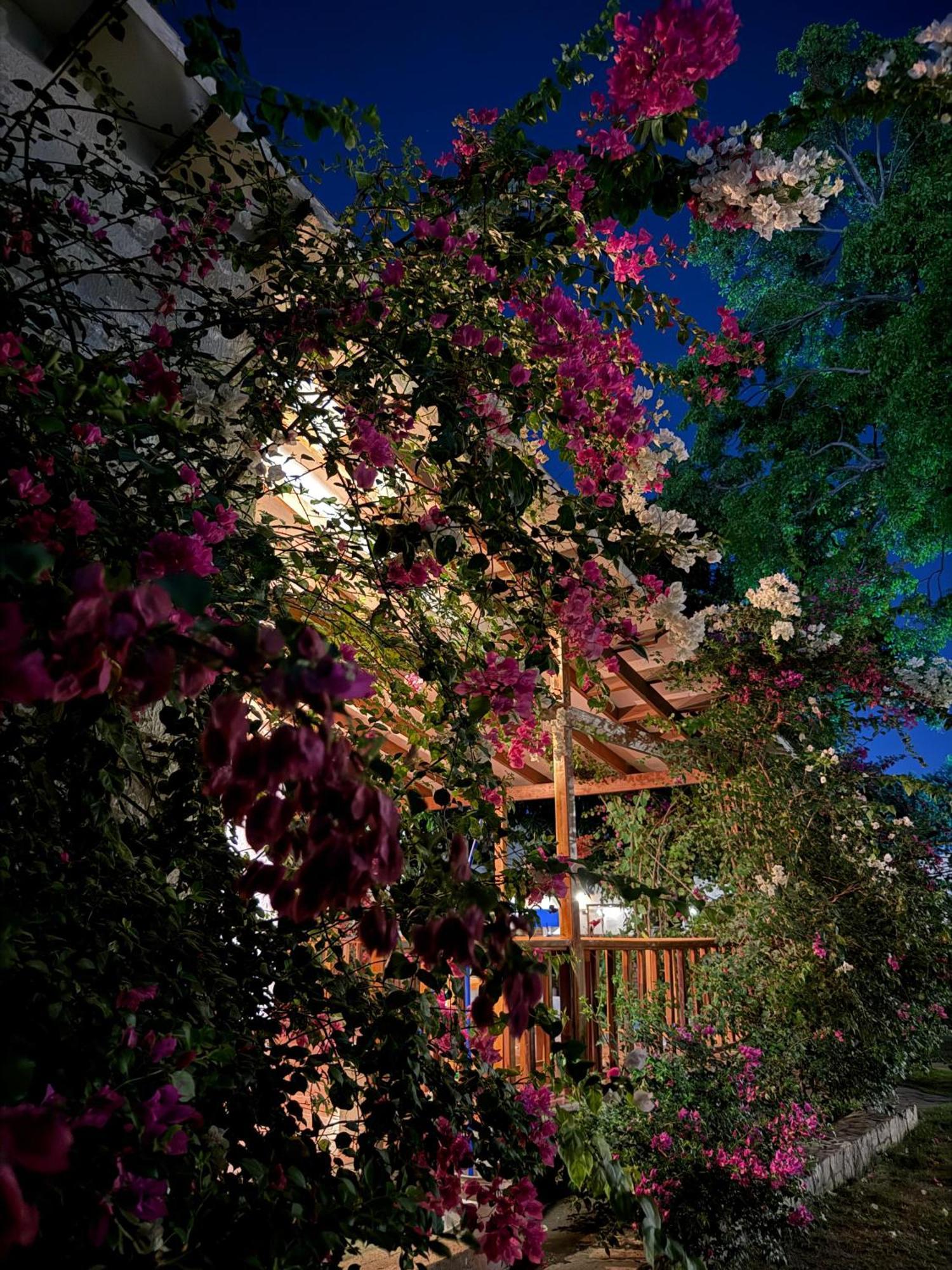 Hotel Jardin Boutique Rodadero Santa Marta  Luaran gambar
