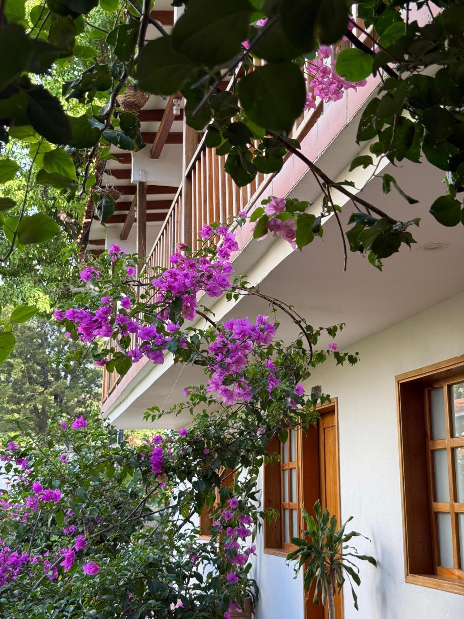 Hotel Jardin Boutique Rodadero Santa Marta  Luaran gambar